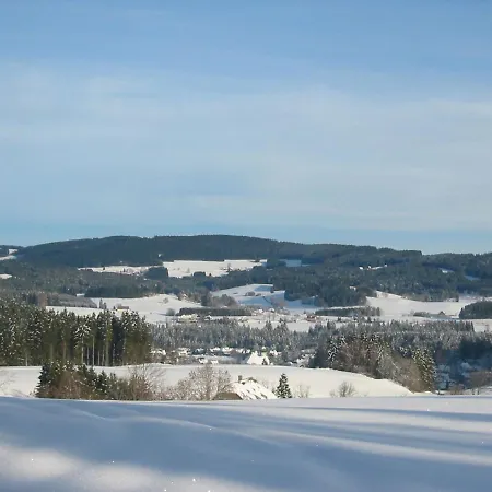 Ferienhaus im Park Hinterzarten Exterior foto