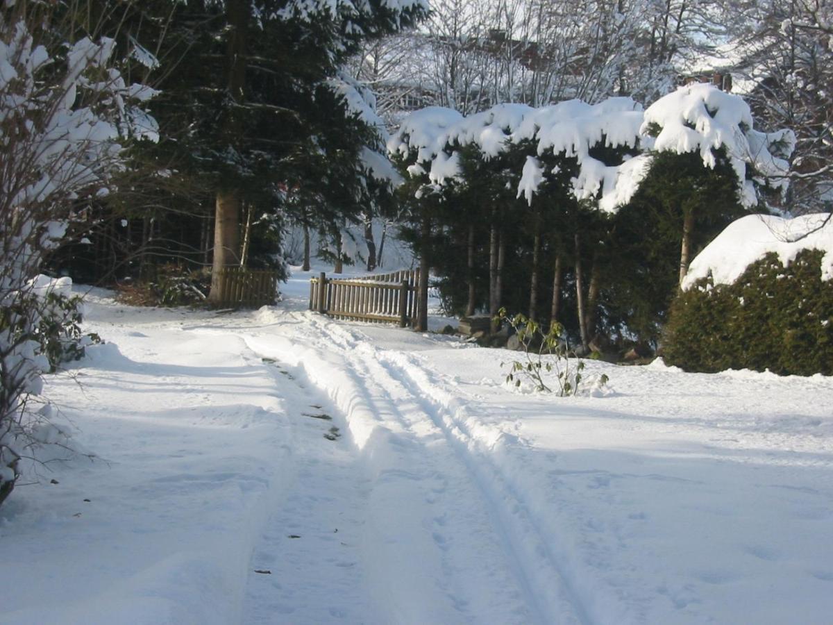 Apartment Im Park *