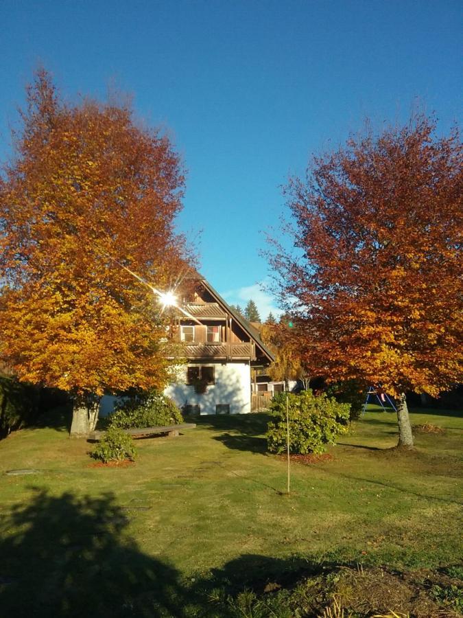 Im Park Apartment Hinterzarten