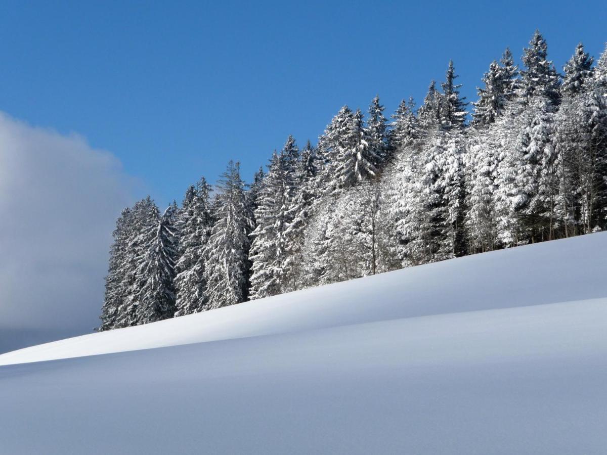 Im Park * Hinterzarten
