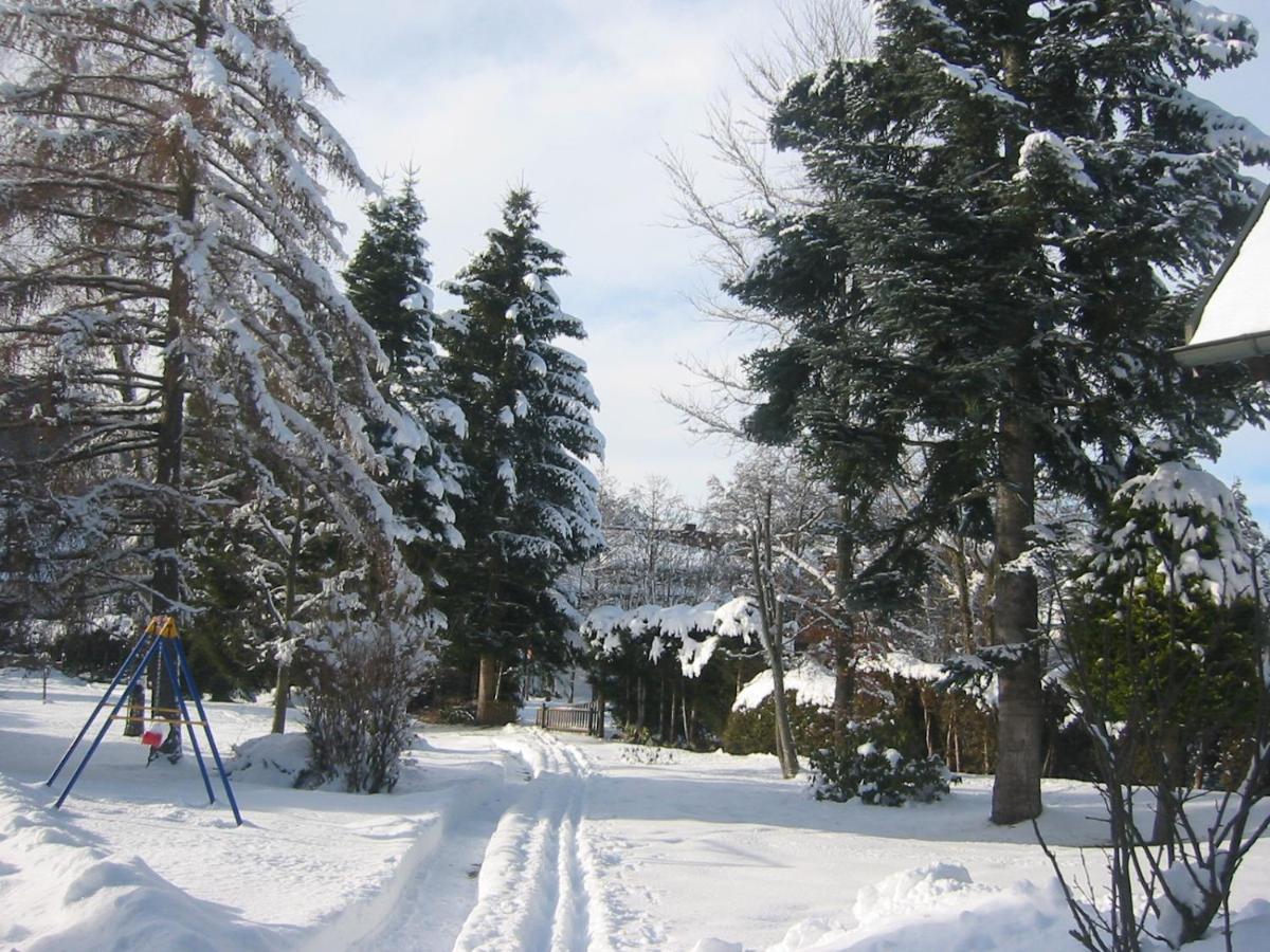 Apartment Im Park Hinterzarten